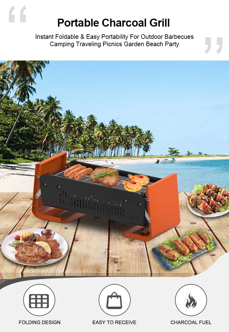 Grill Master Stainless Steel Expert Grill Portable Charcoal Grill Multi Fuel Best Car Folding Camping Stove